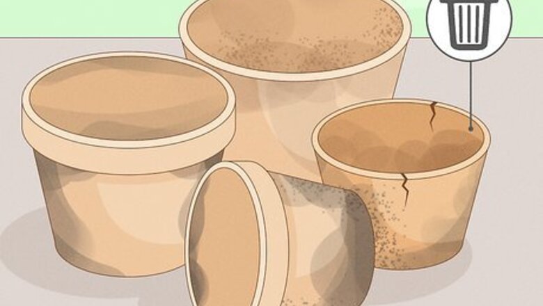 How to Clean Plant Containers