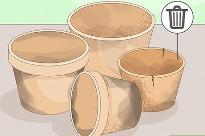 How to Clean Plant Containers