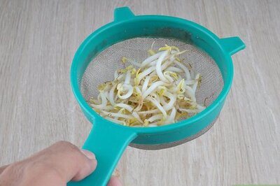 How to Juice Broccoli Sprouts