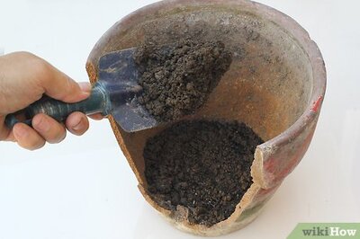 How to Make a Fairy Garden from Broken Pots