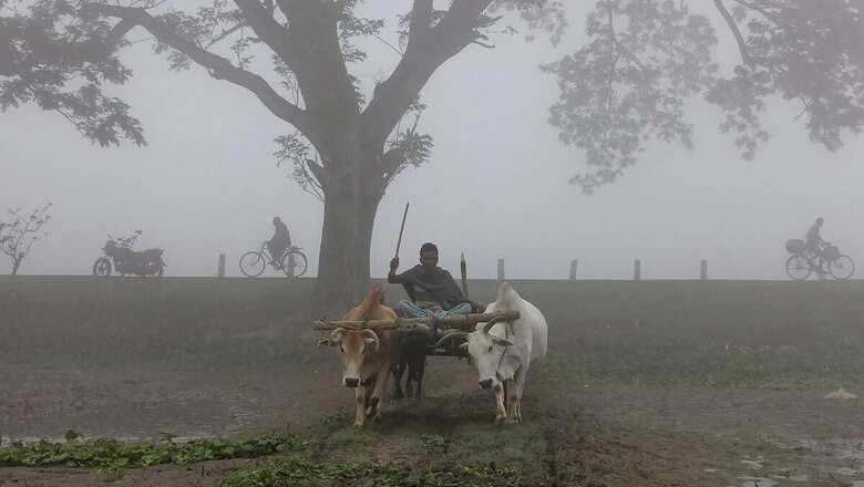 Mercury Below 5C at Many Places in North India; IMD Forecasts Cold Wave This Week
