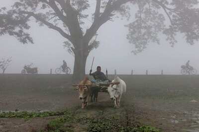 Mercury Below 5C at Many Places in North India; IMD Forecasts Cold Wave This Week
