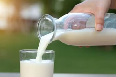 Gujarat Dairy Sector Booming as 36 Lakh Farmers Get Rs 200 Cr from GCMMF Daily: Officials