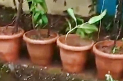In Karnataka's Sirsi, Students Prepare A Live Classroom With Unique Plants