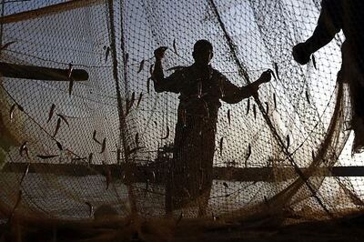 Cyclone Phailin: 18 Tamil Nadu fishermen return to safety in Odisha