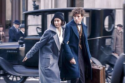 Fantastic Beasts and Where to Find Them Movie Review: Magic Is Back on the Big Screen!