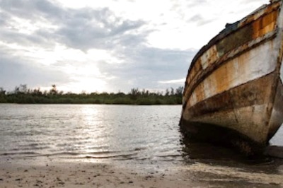 Kisan Credit Cards to Be Extended to All  Fishermen Soon: Union Minister Murugan