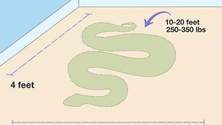 How to Look After a Reticulated Python