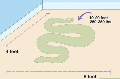 How to Look After a Reticulated Python