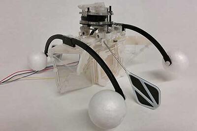 Row-bot: An autonomous swimming robot that feeds on dirty water