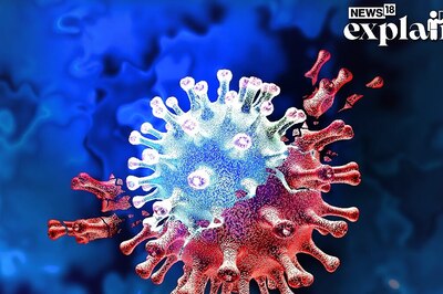As Kerala Reports First JN.1 Case, Here's a Look at Countries that Have Detected the Covid Variant