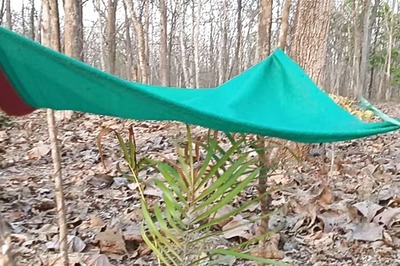 In Uttara Kannada’s Sirsi, Forest Dept Finds A Way To Protect Plants From Summer Heat