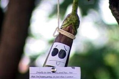 All you need to know about Bt Brinjal