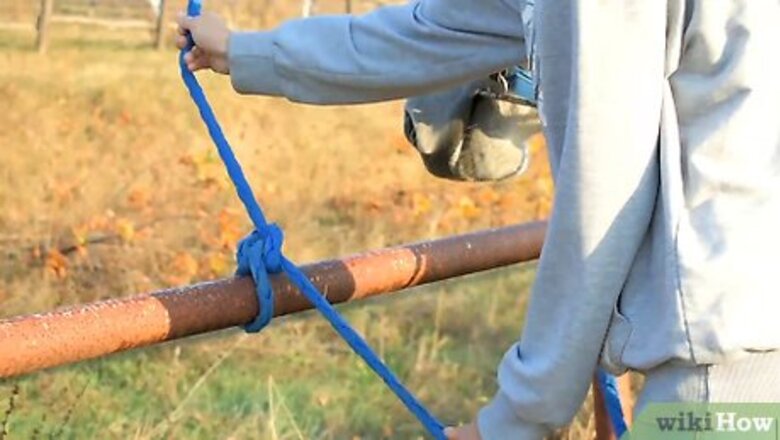 How to Groom a Horse