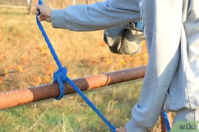 How to Groom a Horse