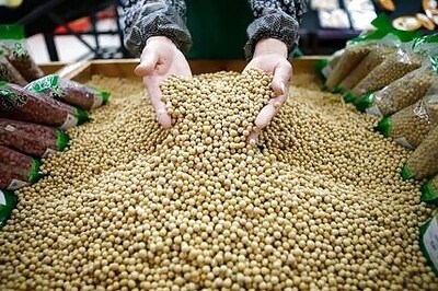 China, facing high corn prices, buys more from U.S