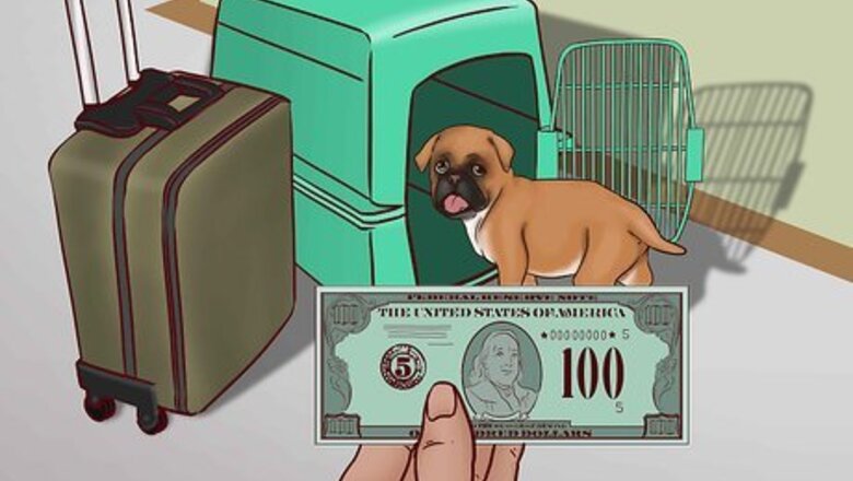 How to Fly Domestically With Your Dog