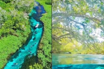 In Brazil, Pristine Sucuriú River's Crystal Clear Waters Leave The World Mesmerised