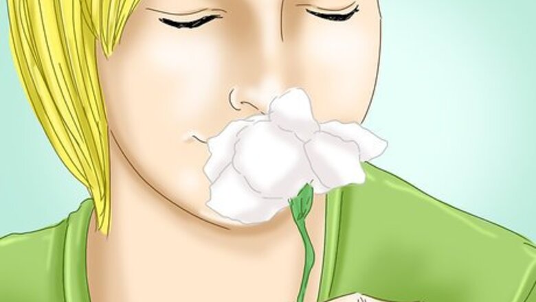 How to Prevent Hay Fever