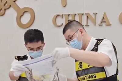 China: Man Stuffs 100 Live Snakes In His Pants In A Bid To Smuggle Them, Held
