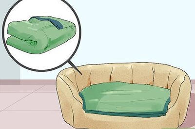 How to Greatly Improve the Life of a Dog with Arthritis