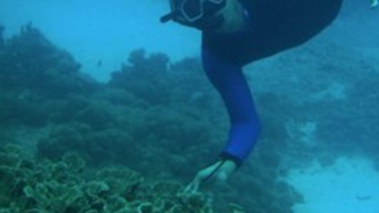 Scientists discover rare marine species