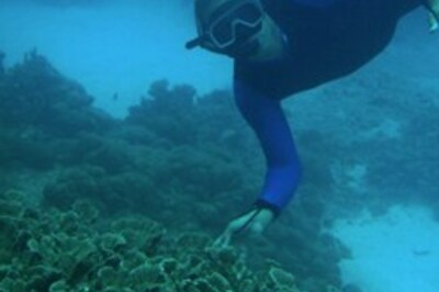 Scientists discover rare marine species