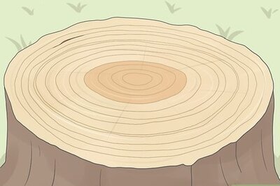 How to Count Tree Rings