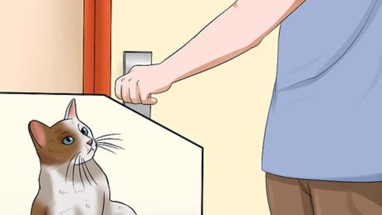 How to Keep Fish when You Have Cats That Like to Hunt