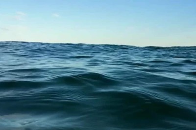 Man, Stuck In Shark-Infested Water For 24 Hours, Used His Watch To Send Signals To Rescue Team