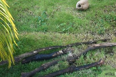 How to Make a Preliminary Splint for a Fractured Femur