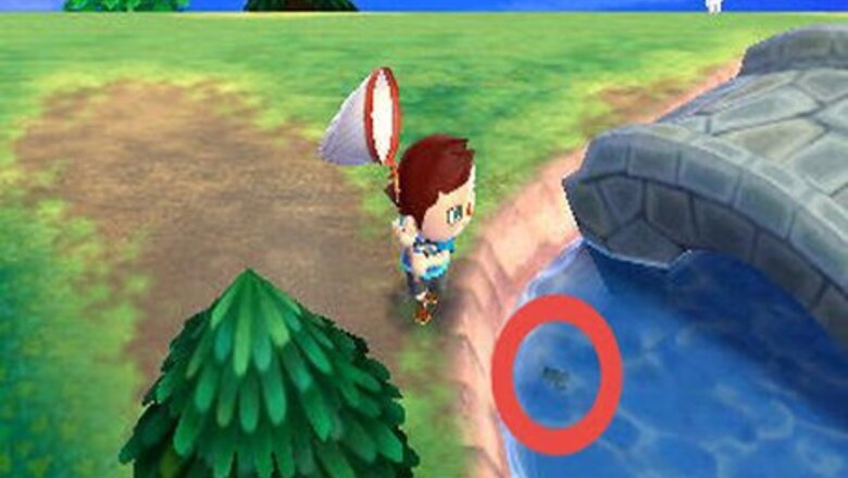 How to Catch a Diving Beetle on Animal Crossing: New Leaf