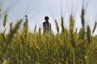 9.5 Lakh Farmers, Family Members to be Brought Under Health Insurance Scheme in Punjab