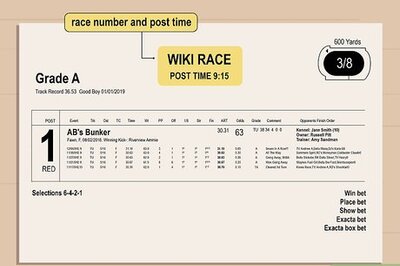 How to Read a Greyhound Form