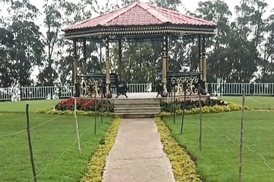Why Ooty's Tea Gardens Are A Must-visit