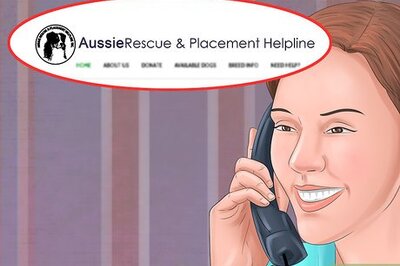 How to Find and Care for a Australian Shepherd