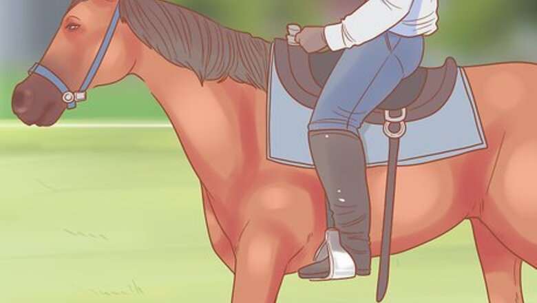 How to Get a Horse Under Control