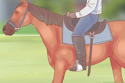 How to Get a Horse Under Control