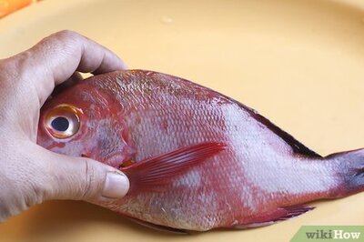 How to Cook Red Snapper