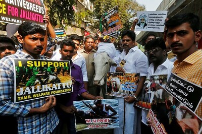 Hurt Sentiments? Hindutva Agenda? Understanding Jallikattu Protests a Year Later
