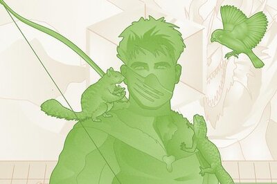 Everything You Need to Know About Animal Messenger in D&D 5e