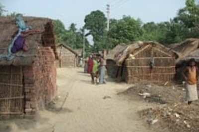 US students lend helping hand