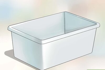 How to Give a Bearded Dragon a Bath