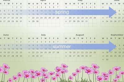 How to Follow Bees to Their Hive