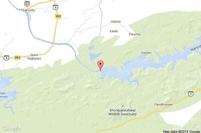 Paleontologists find rare fossilised feces of dinosaurs in MP