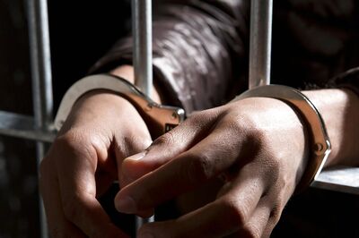 2 Indian-origin Men Jailed in UK for Smuggling Drugs Hidden in Farm Produce