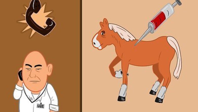 How to Manage a Horse with Breathing Problems