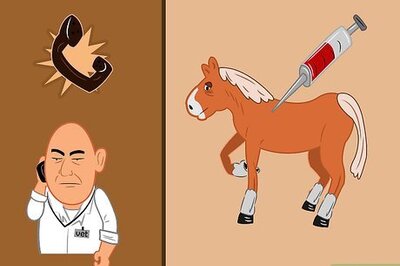 How to Manage a Horse with Breathing Problems