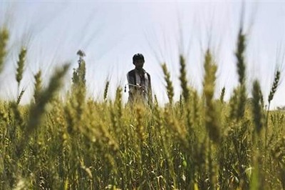 Israel plans to open centres on agri-horticulture in Bihar