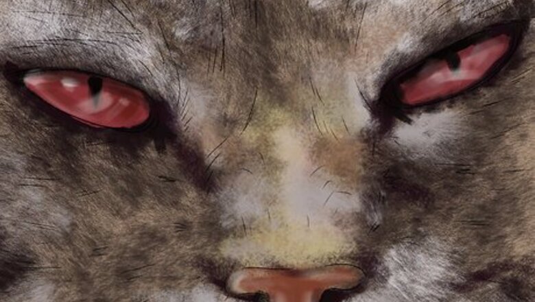 How to Diagnose and Treat Dry Eye in Cats